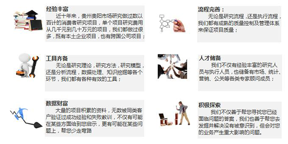 消费者研究优势